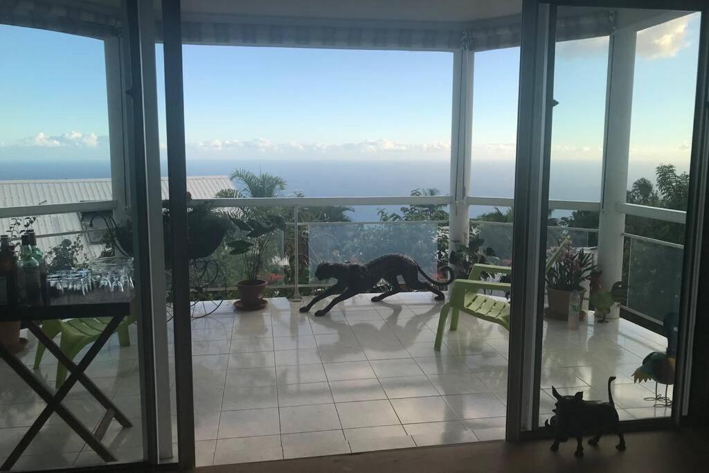 St Leu -Villa d'artiste, superbe vue mer, piscine chauffée Saint-Leu Exterior foto